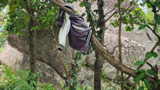 Đi hái nấm, người dân hốt hoảng phát hiện bộ xương người