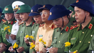 Giữ sự sống, giữ ký ức, giữ đảo