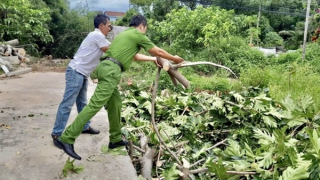 Quảng Trị khẩn trương khắc phục hậu quả bão số 5