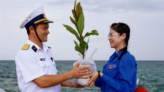 Phát động chiến dịch “Triệu cột mốc xanh” gây quỹ trồng cây phủ xanh đặc khu Trường Sa