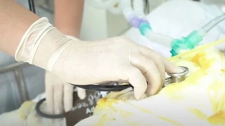 Vụ phóng hỏa phòng trọ: chồng tử vong, vợ và hai con tiên lượng rất nặng