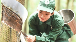 Ngành Cao su Việt Nam: Truyền thống bất khuất và khát vọng cống hiến