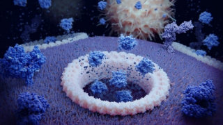 Đường EPS3.9 giúp tiêu diệt ung thư?