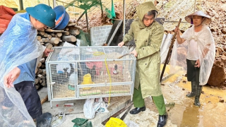 Công an tỉnh Lào Cai chủ động ứng phó với sạt lở đất, tràn đập và lũ quét