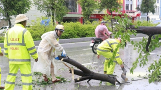 Thiệt hại ban đầu do bão số 5: 3 người chết, hơn 6.800 ngôi nhà tốc mái