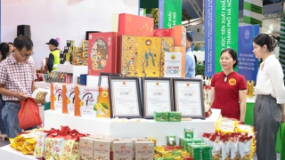 OCOP mở đường cho nông sản vào chuỗi giá trị lớn