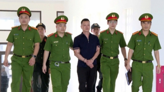 Khởi tố vợ chồng Vi "ngộ” về tội trốn thuế