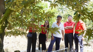 Agribank tiếp sức, thầy giáo bén duyên với nông nghiệp công nghệ cao