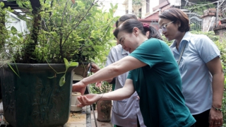 Sốt xuất huyết tiếp tục gia tăng, 11 người tử vong