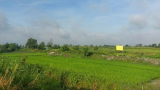 Hậu quả của một thời “lướt sóng” đất nền