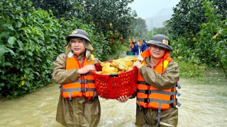 Sau bão, người dân xứ Nghệ lại gồng mình với lũ lụt