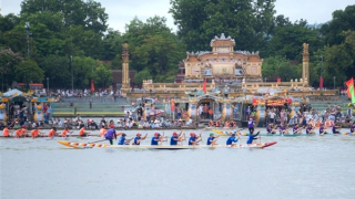 Tưng bừng giải đua ghe mừng Tết độc lập trên sông Hương