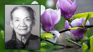 Họa sĩ Trịnh Hữu Ngọc - Người gieo mầm Thiền vào mảnh đất Mỹ thuật Việt
