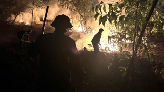 Phát hiện thi thể người đàn ông khi dập lửa cháy rừng