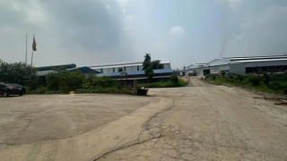 Xử phạt Hợp tác xã sản xuất giấy Phù Ninh 320 triệu đồng