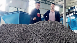 Biến chất thải nông nghiệp thành phân bón