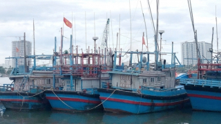 Nhiều tàu cá đánh bắt xa bờ ở Khánh Hòa đã… nằm bờ