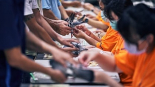 Đằng sau những cuộc đua bồ câu ở Đài Loan (Trung Quốc)