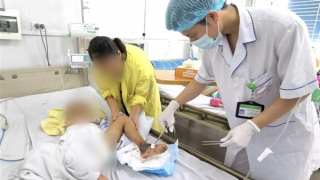 Đắp thuốc nam khi bị mèo cắn, cháu bé suy gan, nhiễm trùng máu nguy kịch