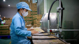 Xuất khẩu bứt phá, phấn đấu đạt kim ngạch kỷ lục