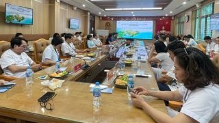 Bệnh viện 19-8: Nhiều phác đồ mới điều trị bệnh đa u tủy xương