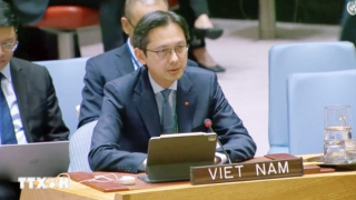 Việt Nam khẳng định cam kết đối với tương lai hoạt động gìn giữ hòa bình LHQ