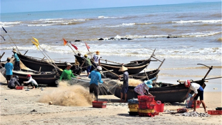Vĩnh Hoàng - vùng biển trăm nghề