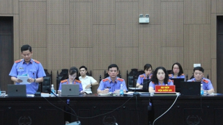 Lý do nhiều bị cáo trong vụ Tập đoàn Thuận An được đề nghị mức án dưới khung truy tố