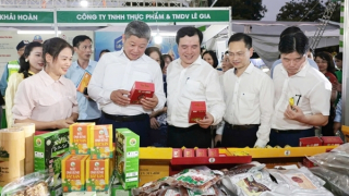 Thương mại điện tử xuyên biên giới -  Cơ hội vàng cho doanh nghiệp