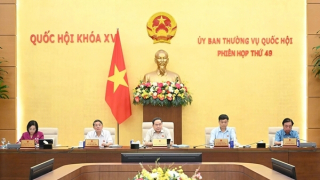 Tháo gỡ những điểm nghẽn trong giải quyết vụ việc phá sản