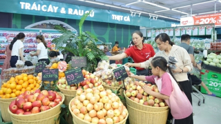 8 tháng 2025: Chuỗi WinMart “về đích” kế hoạch mở mới