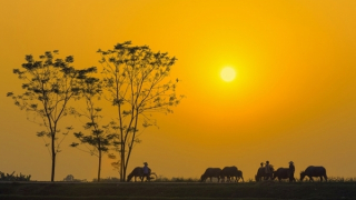 Nỗi nhớ ở chiến trường