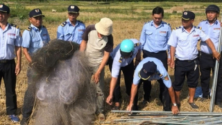 Nghề nuôi chim yến ở Nam Trung bộ trước nỗi lo bẫy lưới “tàng hình”