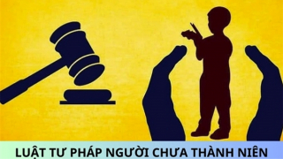 Các hình phạt đối với người chưa thành niên phạm tội