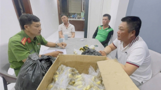 Bám chắc địa bàn, phá nhanh các vụ án lừa đảo liên tỉnh