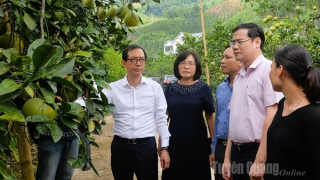 Ðể người dân thụ hưởng tốt nhất tín dụng chính sách