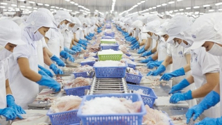 Bộ Công Thương gửi thư đề nghị Mỹ xem xét khách quan về thương mại thủy sản