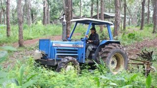 Tình yêu rừng của người cựu chiến binh ở miền Đông Nam bộ