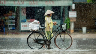 Từ Bắc vào Nam nhiều nơi có mưa, Thủ đô Hà Nội nắng 35 độ