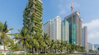 Đà Nẵng phạt loạt khách sạn vi phạm môi trường, an toàn thực phẩm