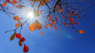 Miền Bắc ngày nắng mạnh, đêm có mưa