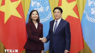 Liên hợp quốc luôn là người bạn gắn bó với Việt Nam trên chặng đường phát triển