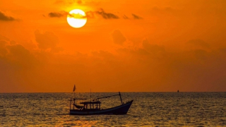 Biển nhớ một bóng hồng