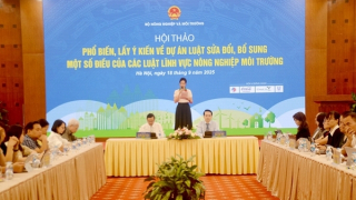 Tháo gỡ "điểm nghẽn" của 15 luật trong lĩnh vực nông nghiệp và môi trường