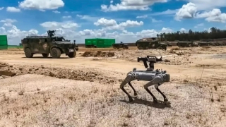 Đội quân chó robot