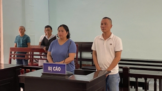 Mở dịch vụ kinh doanh nhà nghỉ massage để chứa mại dâm, chủ cơ sở và nhân viên lãnh án