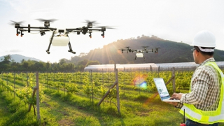 Những “cánh đồng số” sẽ nâng tầm nông nghiệp Việt Nam