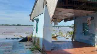 Sạt lở 6 căn nhà ven sông Tiền lúc rạng sáng