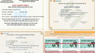 Giáo viên bị điều động sau khi tố cáo hiệu trưởng sai phạm?