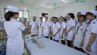 Mở cánh cửa châu Âu với lao động Việt